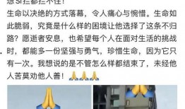 网友爆料坠楼案件最新消息,坠楼案件最新进展，疑点重重引关注